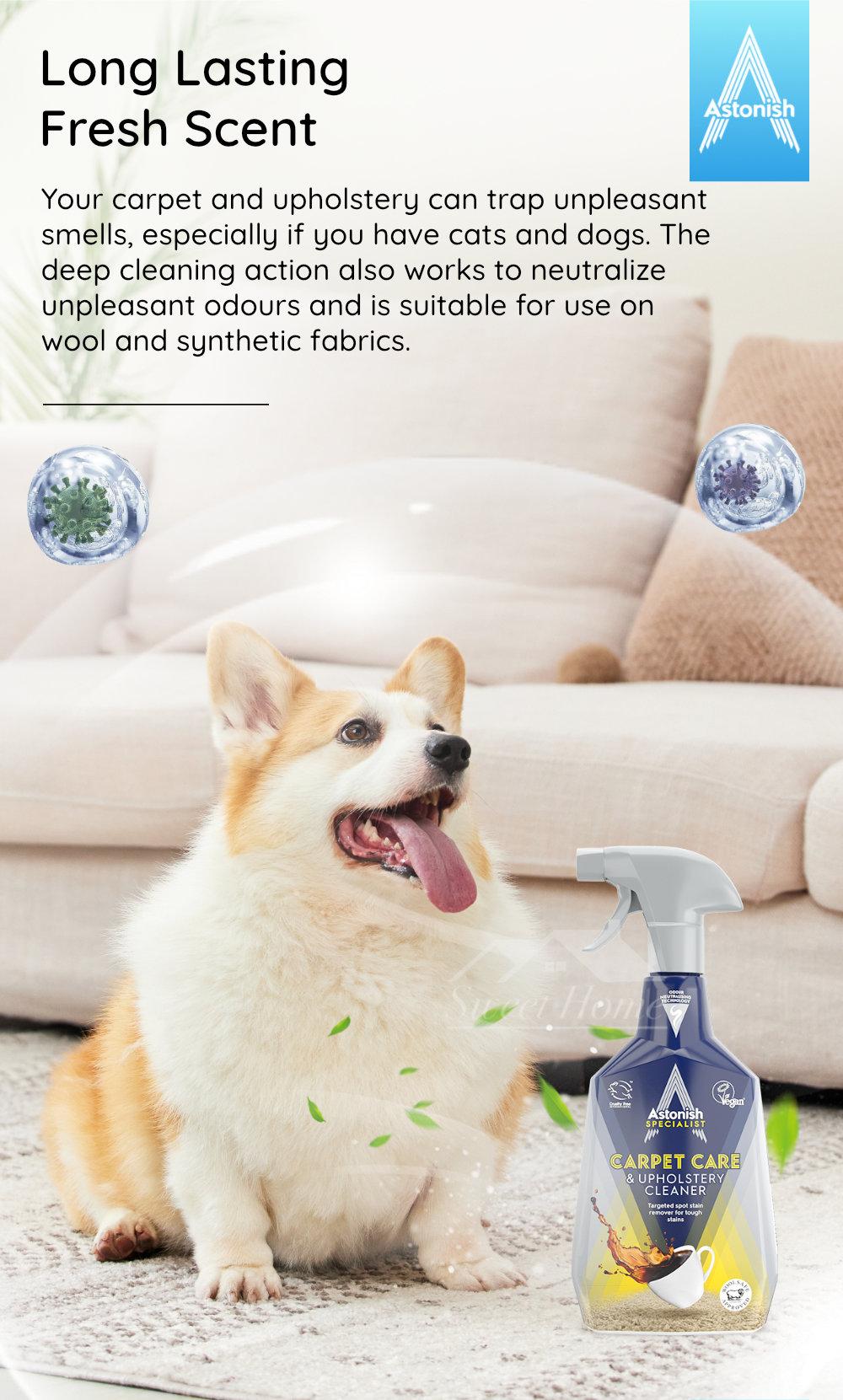 Astonish-Specialist-C6720-Carpet-Care-6
